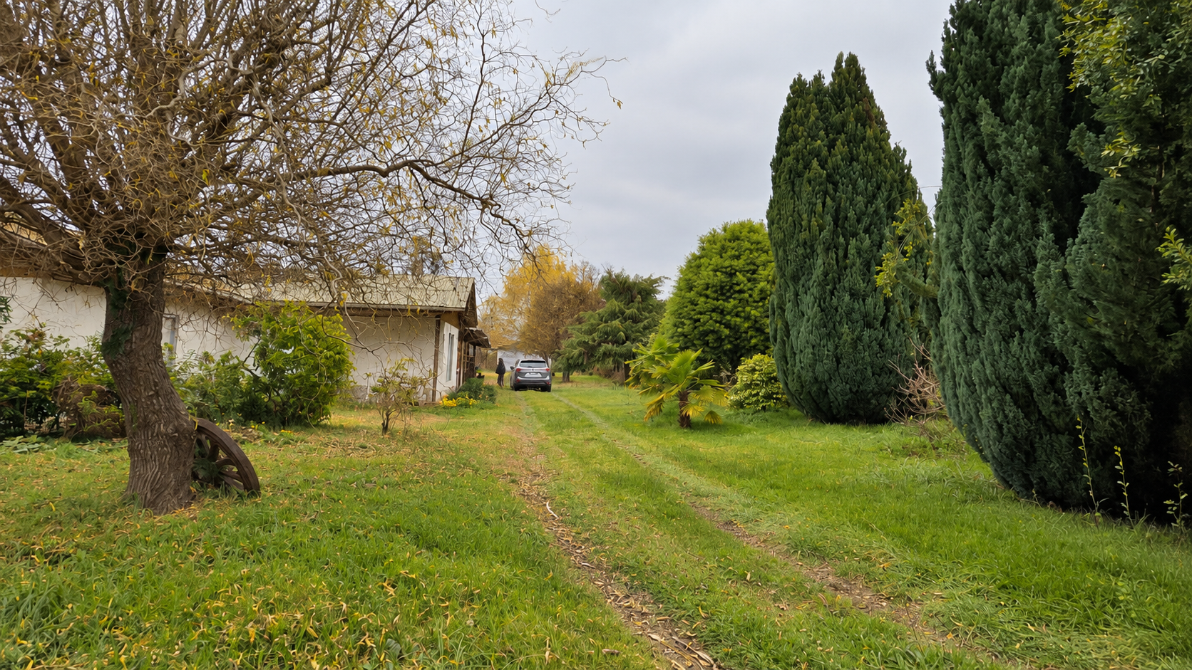 Jardín de la parcela con árboles y corredor de césped