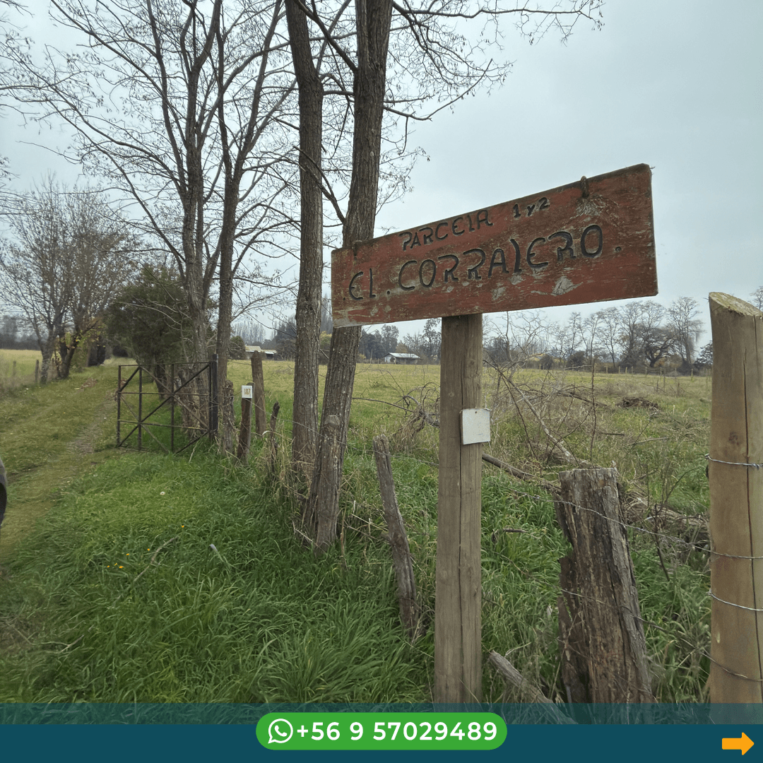 Acceso